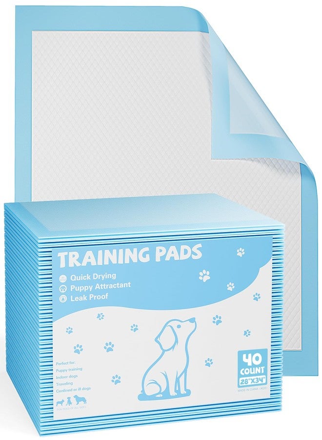 Aidoly Puppy Pads, XL 28"x34", 30 Count, Pee Pads for Potty Training, Ultra-Absorbent 6-Layer with Leak-Proof, Quick-Dry Surface - Image 1