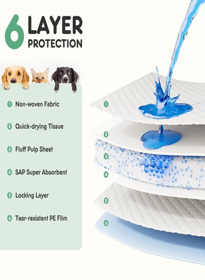 Aidoly Puppy Pads, XL 28"x34", 30 Count, Pee Pads for Potty Training, Ultra-Absorbent 6-Layer with Leak-Proof, Quick-Dry Surface - Image 3
