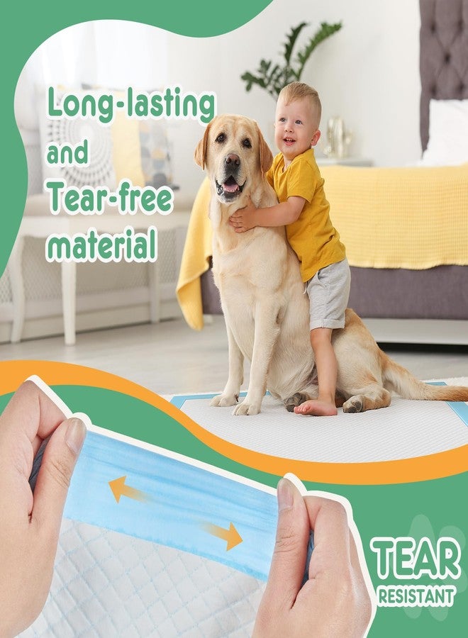 Aidoly Puppy Pads, XL 28"x34", 30 Count, Pee Pads for Potty Training, Ultra-Absorbent 6-Layer with Leak-Proof, Quick-Dry Surface - Image 5