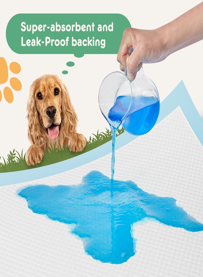 Aidoly Puppy Pads, XL 28"x34", 30 Count, Pee Pads for Potty Training, Ultra-Absorbent 6-Layer with Leak-Proof, Quick-Dry Surface - Image 4