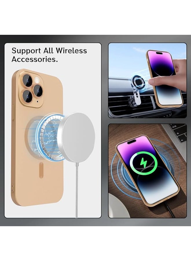 جراب مغناطيسي متوافق مع هاتف Iphone 11 Pro Max [متوافق مع MagSafe] [واقي عدسة الكاميرا المدمج] غطاء هاتف رفيع ناعم من السيليكون مقاوم للصدمات لامع معدني (ذهبي) - Image 4