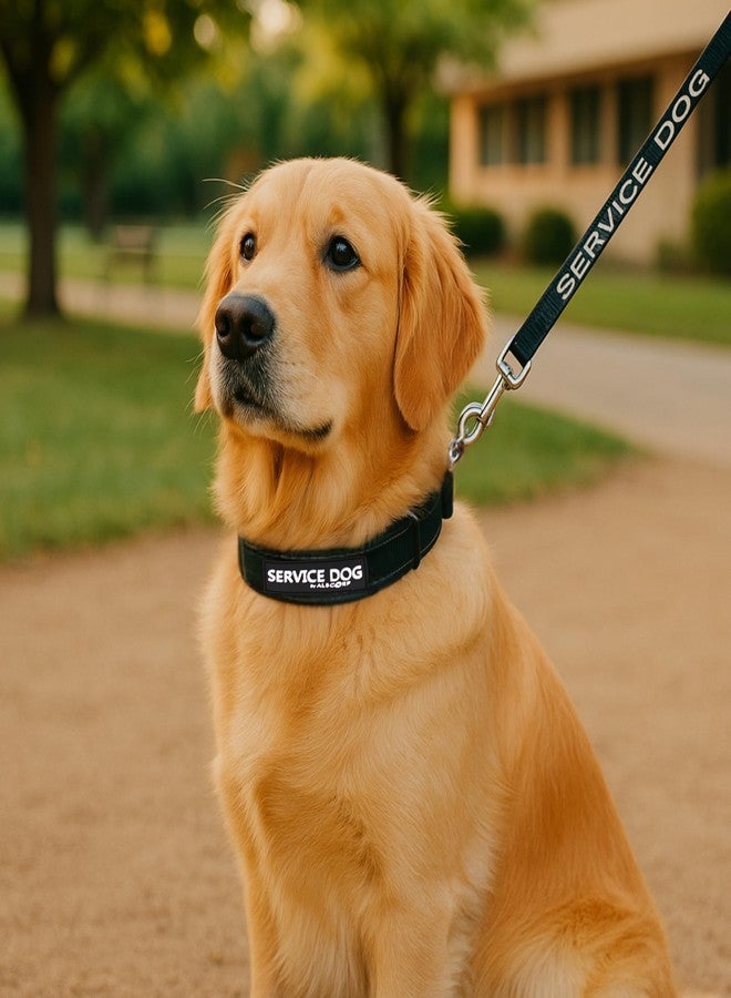 Albcorp Reflective Service Dog Collar - Sizes XS to XL (8.6-28.7 Inches), Service Dog Rubber Patch, Neoprene-Padded Comfort & High-Visibility Gear for Dedicated Handlers, Extra Small, Black - Image 4