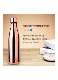 Stainless Steel Vacuum Insulated Water Bottle Copper 265x70centimeter - pzsku/ZE3F20D3B6E70632509C1Z/45/_/1694704136/a37e423d-a7eb-4540-b6a1-1ef6111004aa