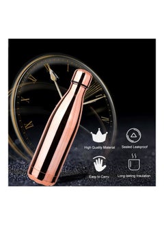 Stainless Steel Vacuum Insulated Water Bottle Copper 265x70centimeter - pzsku/ZE3F20D3B6E70632509C1Z/45/_/1694704137/e761c502-fe74-40c0-ba37-d76bea1bdf81