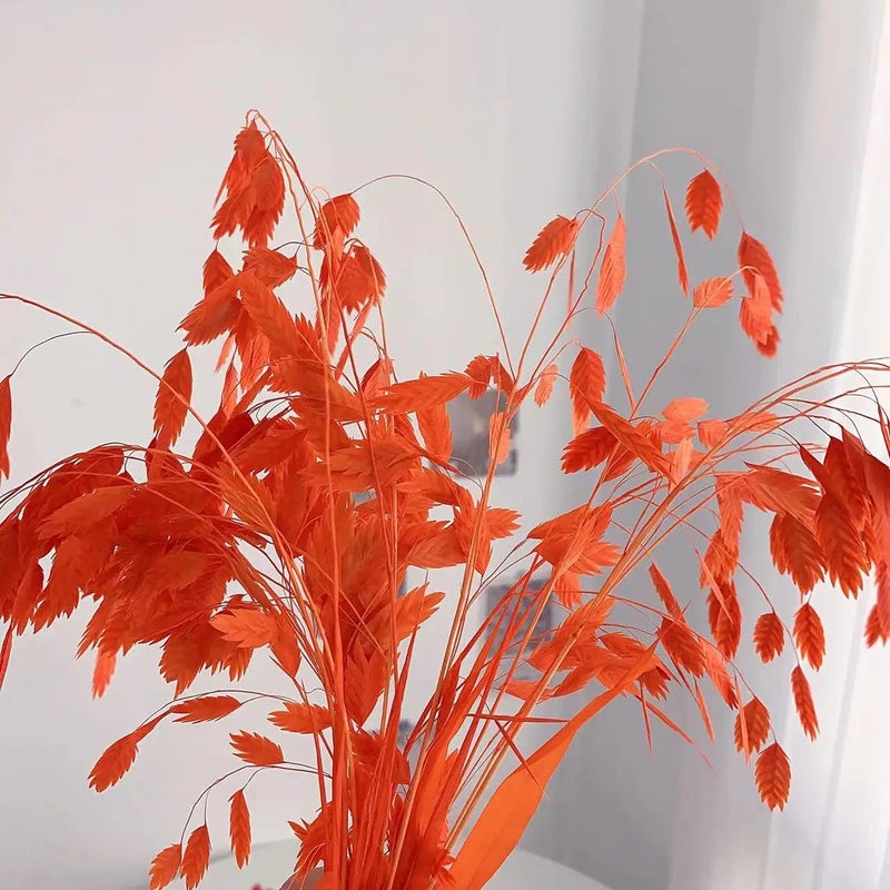 Bluejw Little Hope Grass Eternal Preserved Dried Flower Bouquet – Long-Lasting 3-5 Years, Post-Modern Home Decor Ornament with Natural Dried Plants - Image 1
