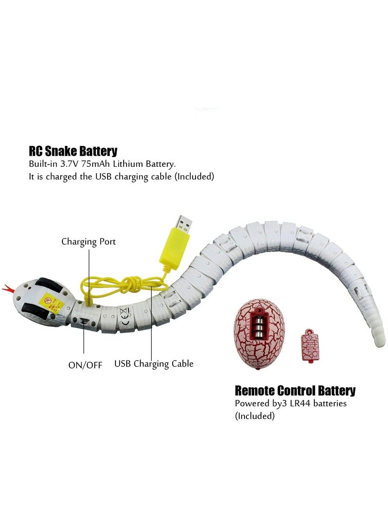 Remote Control Rattle Snake - Realistic Robot Snake Toy with Infrared Receiver - Rc Animal Prank Toy Perfect for Kids Ages 4 Up or for Adult Pranks - Makes a Great Gift - Image 4