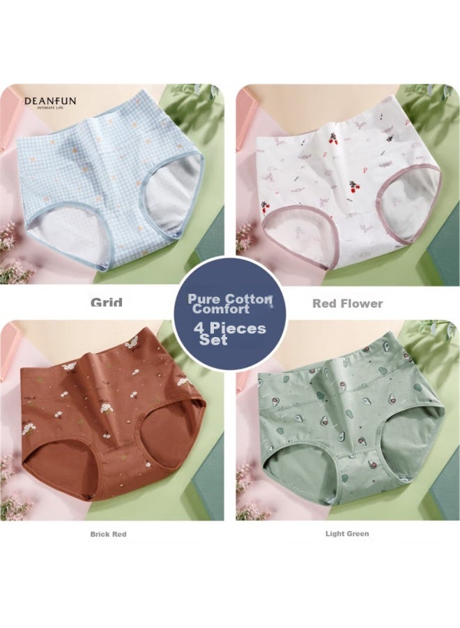 Deanfun Women's Underwear 95% Cotton Pure Printed High Waist Tummy Control Ladies' Briefs 4-pack Gift Box XL - Image 1