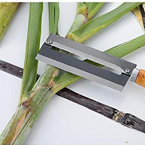 Baskety Stainless Steel Kitchen Sugarcane Peeler Knife for Fruit Pineapple, Sugarcane Cutter Kitchen Tools Black Coated (Pack of 1) - Image 3
