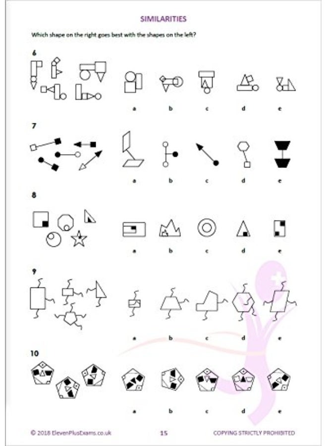 11+Essentials Non-Verbal Reasoning 2D Book 1 - Image 5