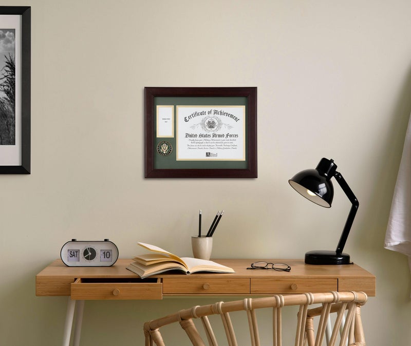 Allied Flag Allied Frame U.S. Army Medal and Award Frame with Medallion -13 x 16 - Image 5