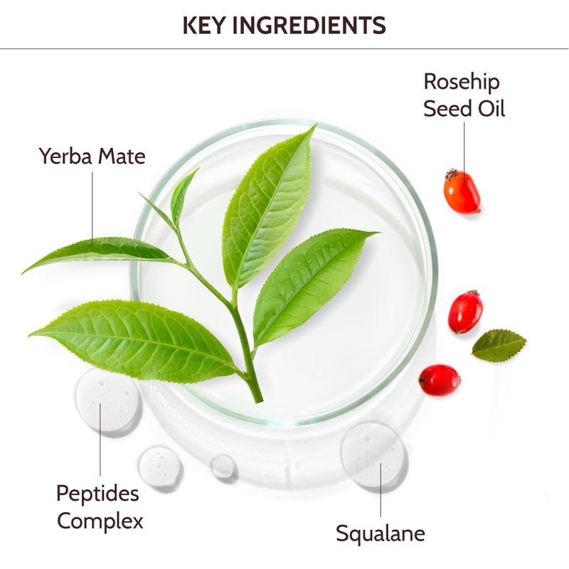 Infuse Yerba Mate Eye Cream 30ml â€“ Caffeine & Peptide Anti-Aging Eye Treatment for Dark Circles, Puffiness & Wrinkles â€“ Hydrating Firming Under Eye Cream for Mature Skin - Image 5