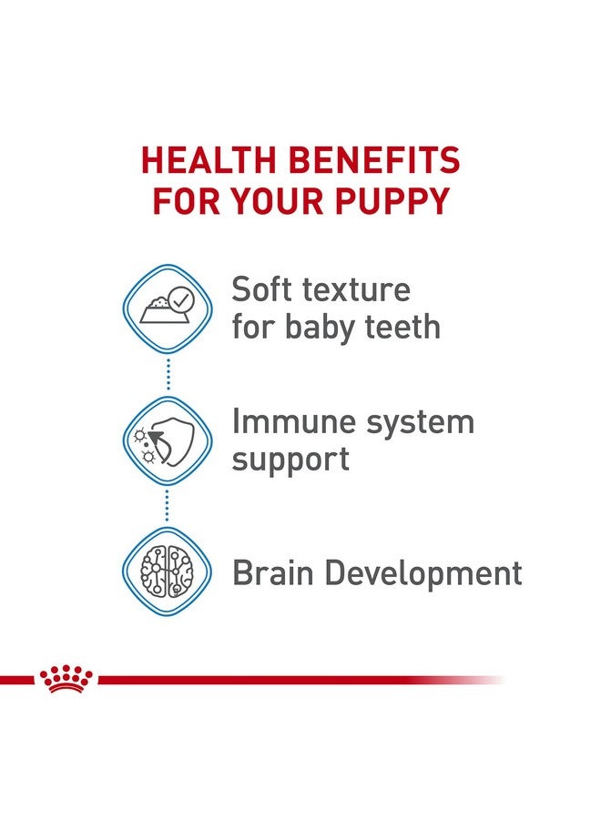 Royal Canin Size Health Nutrition X-Small Puppy Thin Slices in Gravy Wet Dog Food, 3 oz can 12-Pack - Image 3