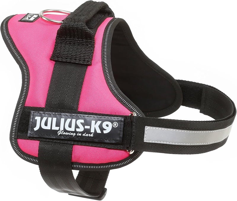 JULIUS K9  Julius-K9 K9 Powerharness Size M/0 Dark Pink - Image 3