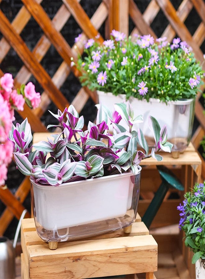 Planterhoma مجموعة من 5 أوعية زراعة مستطيلة الشكل، مقاس 11.8 × 4.6 بوصة، ذاتية الري، مناسبة لزراعة النباتات على حافة النافذة، أوعية زراعة داخلية مستطيلة الشكل ذاتية الري، أوعية بلاستيكية لزراعة زهور البنفسج الأفريقي والأوركيد (شفاف، 5) - Image 2