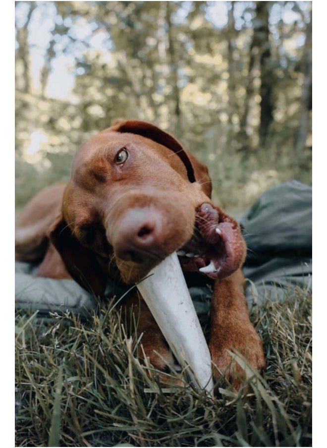 Cadet Cadet Stuffed Shin Bone - Highly Digestible, High Protein, Long-Lasting Dog Chew Bone for Aggressive Chewers, Supports Dental Health, - Peanut Butter Flavor, Large (1 Count)  - Image 3