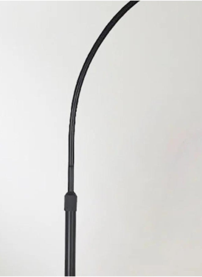 Arc Rattan Floor Lamp