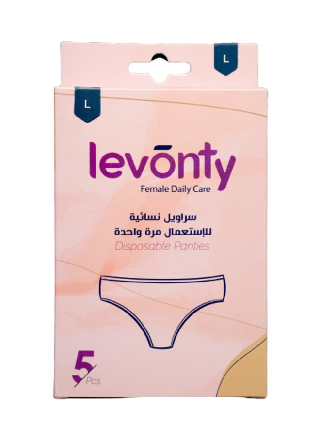 هولينز - ليفونتي، سراويل نسائية، للاستعمال الواحد، كبير - 5 قطع - Image 1