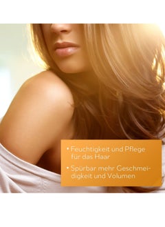 argan de luxe Hair Mask and Scalp Rejuvenating Deep Conditioner Masque, 250 mL  - Image 2