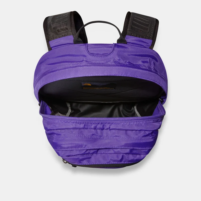 THE NORTH FACE Borealis Classic Backpack