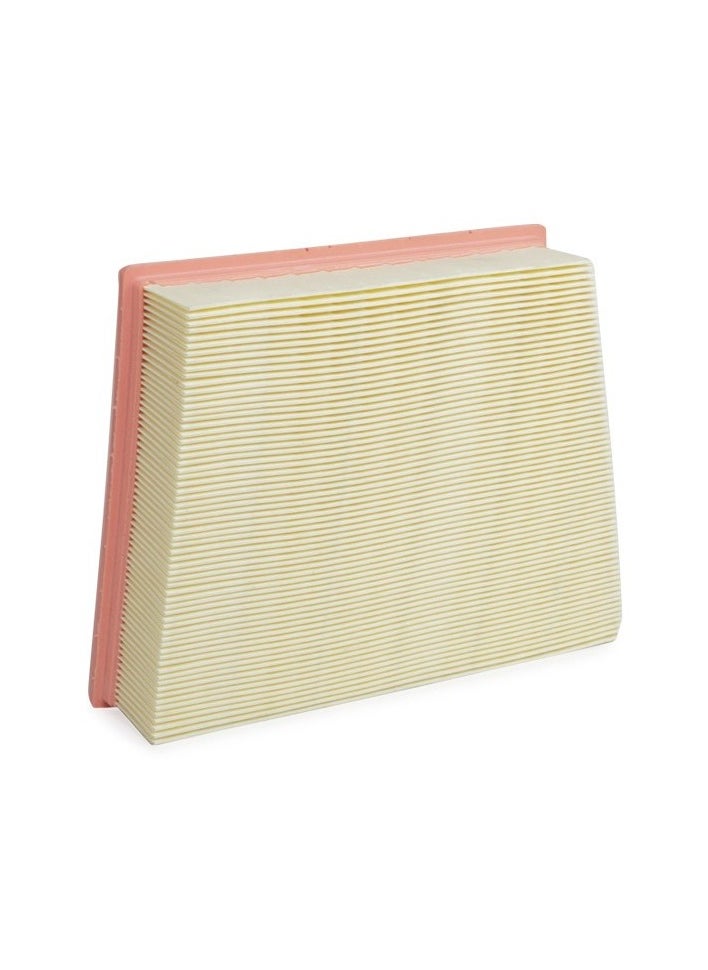 RIDEX - RIDEX - AIR FILTER FOR LAND ROVER / JAGUAR - GX739601BA / 0613868A / T4A6124 / LR092258 - Image 1