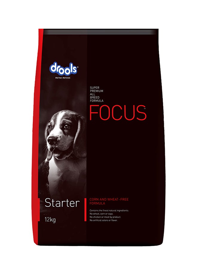 Focus Starter Super Premium Dry Dog Food Multicolour 12 - pzsku/ZE3FB71281397DD28048FZ/45/_/1695734333/35bc3192-737c-422e-9e6f-5c1c4d5dea5f