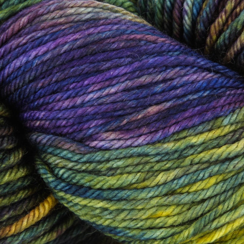 Malabrigo Rios 870 Candombe Multicolor Worsted 4 Ply Yarn 100 Superwash Merino Wool 210 Yards 100 Grams