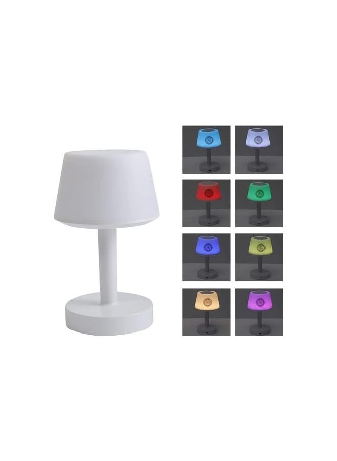 Quran Speaker Equantu Table Lamp For Kids Speaker Digital APP Remote Control MultiColour Lighting - pzsku/ZE3FC66DD39D2CB0C2406Z/45/_/1737024576/f47256f2-8ca7-4897-826c-02fe32fc33db