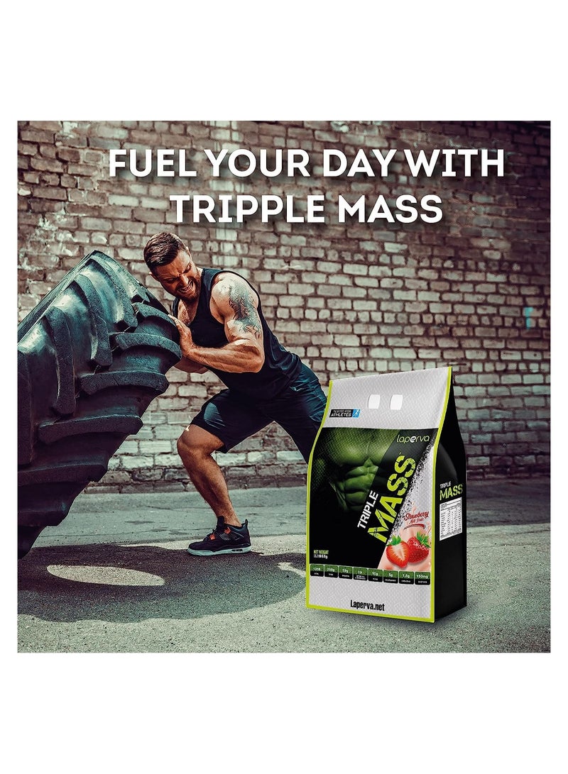 laperva Triple Mass Gainer Protein Powder, High Calorie Weight Gainer with Glutamine & Added Essential Fatty Acids, 1500mg Added Creatine Blend +10 gm of BCAA (Strawberry - 13.2 LB) - Image 4