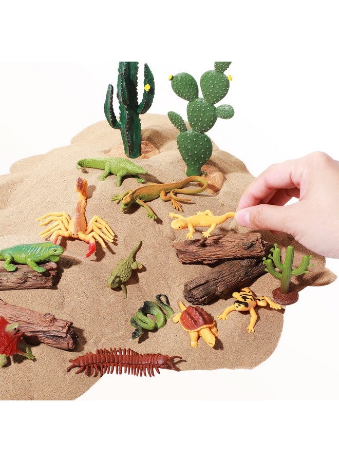 Sratte مجموعة ديوراما حيوانات الصحراء 26 قطعة من سراتي، ألعاب الزواحف، نموذج سحلية وثعبان وصبار، مستلزمات مشروع ديوراما للصحراء، هدية العودة إلى المدرسة، تعليمية، هدية عيد ميلاد - Image 3