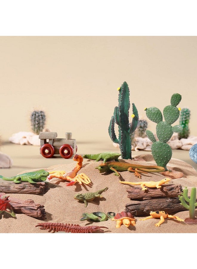Sratte مجموعة ديوراما حيوانات الصحراء 26 قطعة من سراتي، ألعاب الزواحف، نموذج سحلية وثعبان وصبار، مستلزمات مشروع ديوراما للصحراء، هدية العودة إلى المدرسة، تعليمية، هدية عيد ميلاد - Image 5