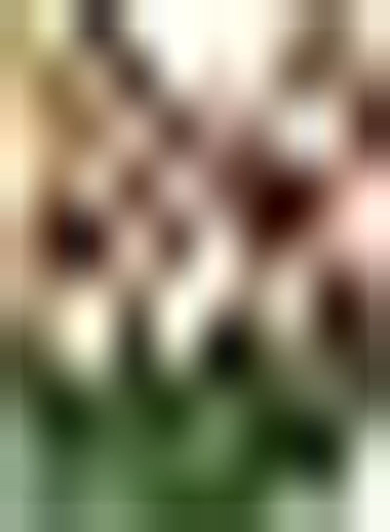 GGOOT 10pcs Gemengde Kleur Tulpenbollen Exotische Bloemen Trekken Vlinders Decoratieve Tuin Winterhard Binnen Buiten Gemakkelijk Groeien Boeketten Aanpasbaar - Image 1