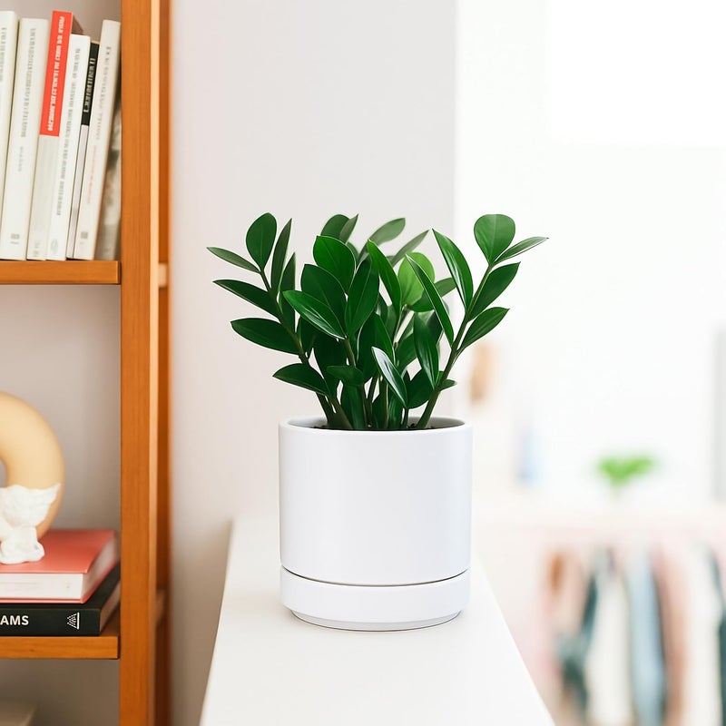D'vine Dev 4.7 Inch Ceramic Planter Pot with Drainage Hole and Saucer, Indoor Cylinder Round Planter Pot, White, 94-O-B-1 - Image 2