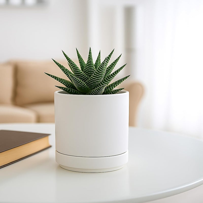 D'vine Dev 4.7 Inch Ceramic Planter Pot with Drainage Hole and Saucer, Indoor Cylinder Round Planter Pot, White, 94-O-B-1 - Image 5