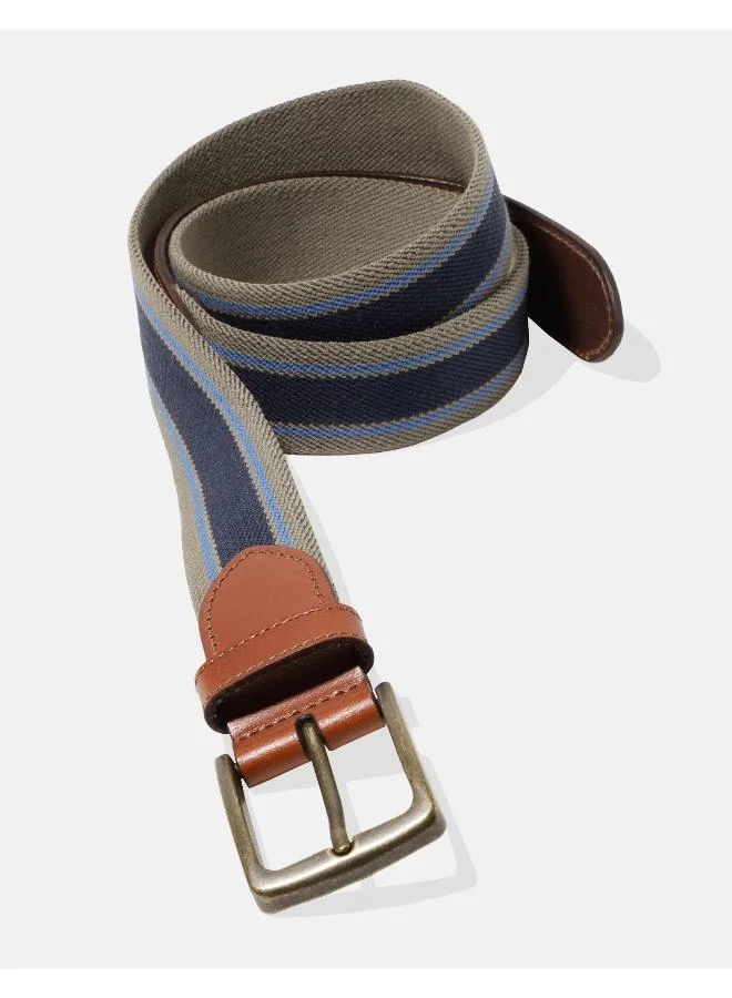 American Eagle AEO Striped Web Belt