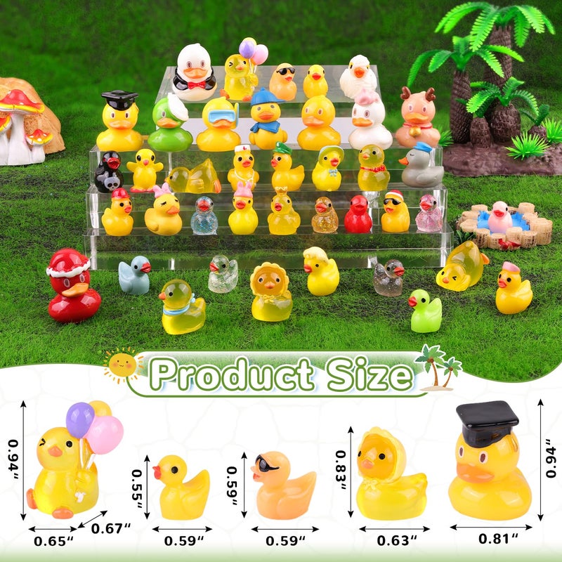 TINKRSTUFF 40PCS Mini Resin Animals Assorted Styles Cute Tiny Ducks,Miniature Duck Figures to Hide,Little Animal Bulk for Topper Desk Garden Dollhouse Landscape Aquarium Ornaments DIY Crafts & Decor - Image 3