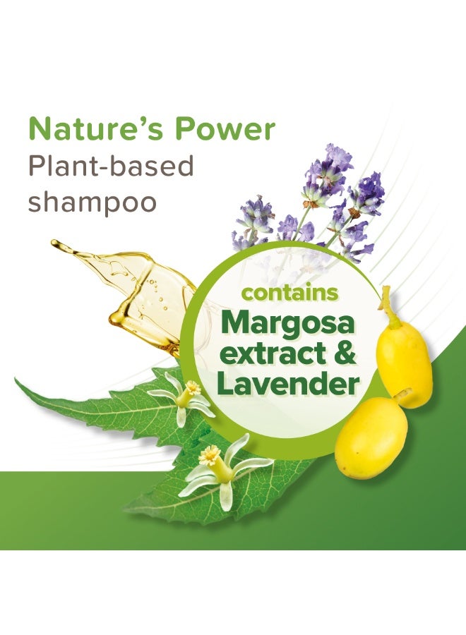 بيفار شامبو بيفار فيتوبيور للكلاب والقطط - Image 4