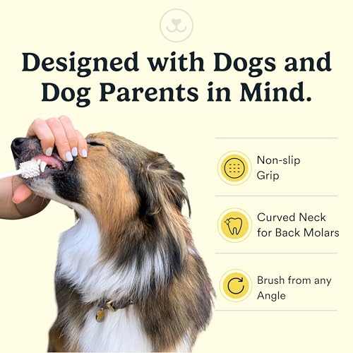 Jasper Macrobrush 360º, Dog Toothbrush for Medium to Large Dogs, Soft-Bristled Dog Tooth Brushing Kit - Premium Non-Slip Handle with 2 Replaceable Tooth Brush Heads, Use with Pet Toothpaste - Image 3