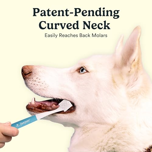 Jasper Macrobrush 360º, Dog Toothbrush for Medium to Large Dogs, Soft-Bristled Dog Tooth Brushing Kit - Premium Non-Slip Handle with 2 Replaceable Tooth Brush Heads, Use with Pet Toothpaste - Image 4
