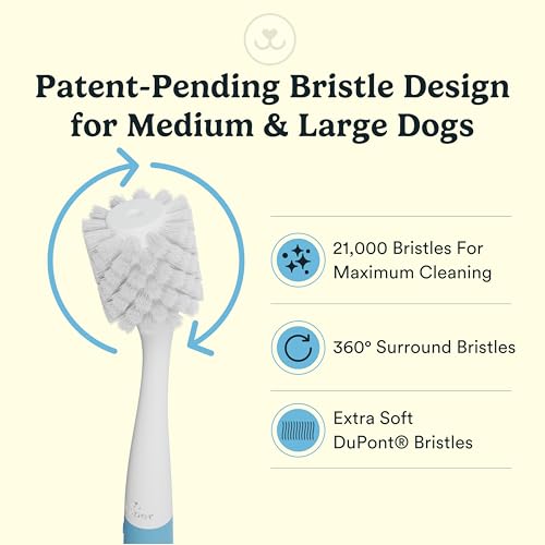 Jasper Macrobrush 360º, Dog Toothbrush for Medium to Large Dogs, Soft-Bristled Dog Tooth Brushing Kit - Premium Non-Slip Handle with 2 Replaceable Tooth Brush Heads, Use with Pet Toothpaste - Image 2