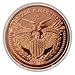 Heavenly Metals نحن الشعب نحمي التعديل الثاني 1 أونصة 999 نحاس نقي عملة تحدي في كبسولة - Image 3