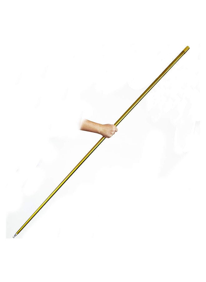 NIBEMINENT Metal Appearing Cane Magic Wand - Image 4