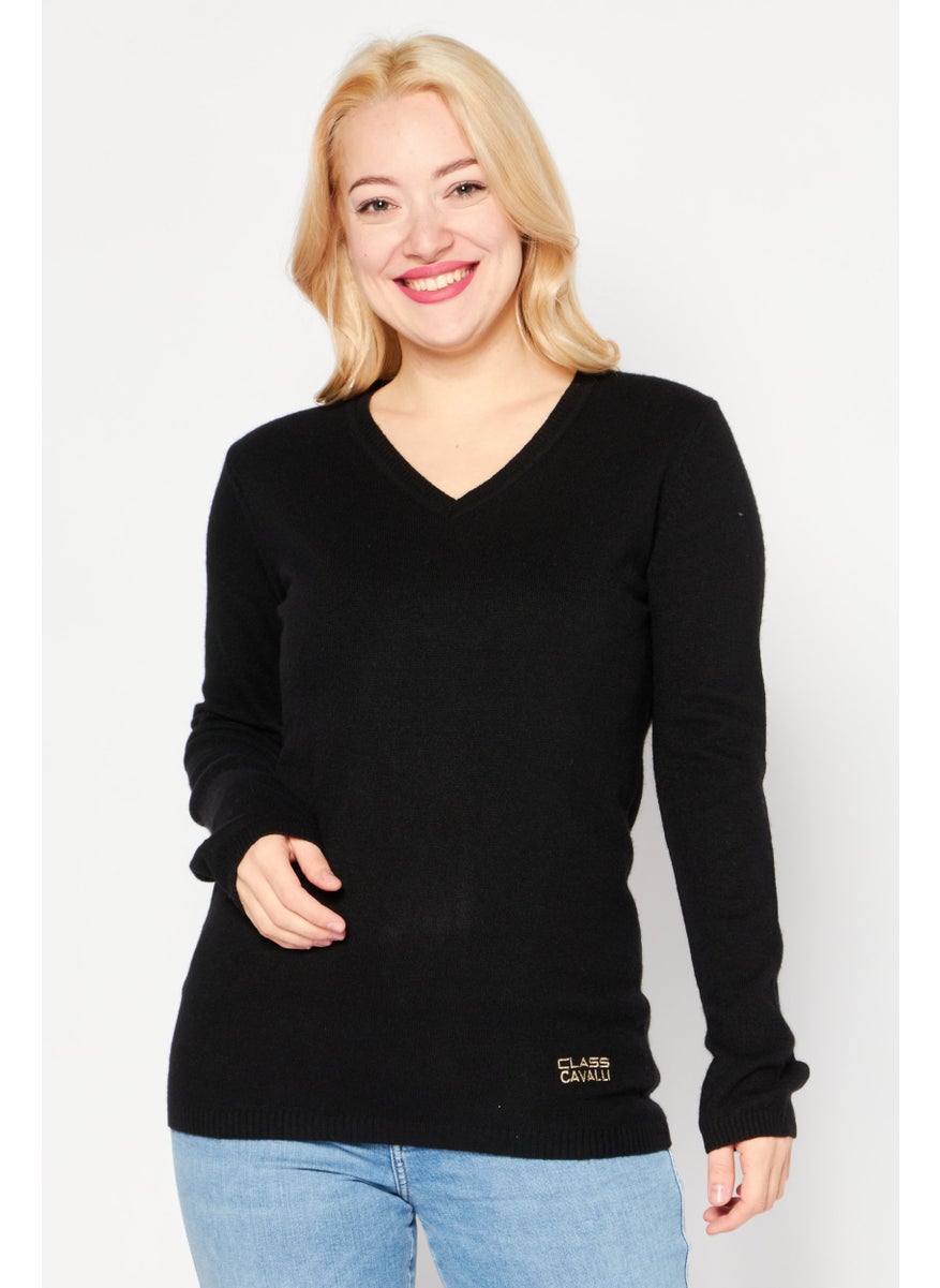 Women V-Neck Long Sleeve Knitted Sweater, Black - pzsku/ZE40A45B0C3834A457BF9Z/45/_/1740486193/ca6cbeef-8d2c-45c2-9969-f87a8386d778