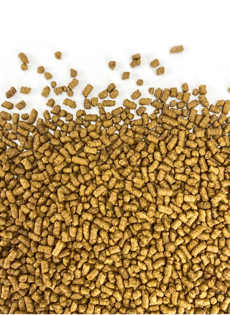 Tealand Buckwheat Tea, 100g  - Image 2