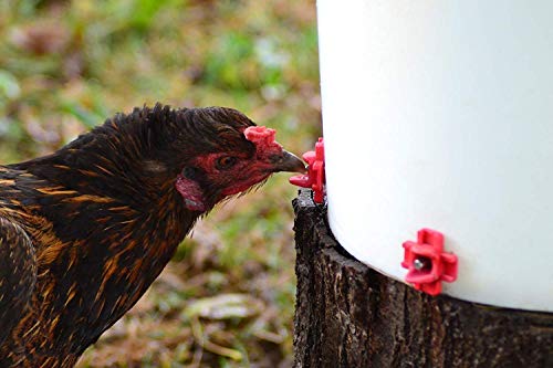 RentACoop DIY Waterer Kit - Horizontal Nipples with Dribble Dish and Installation Tool - Great for Chickens, Turkeys, Peafowl, and Other Poultry - 50 Pack - Image 5