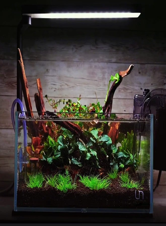 majoywoo Natural Small Driftwood for Aquarium Decor Reptile Decor, Assorted Driftwood Branch 2-4.5" 10 Pcs, Fish Tank Decorations - Image 5