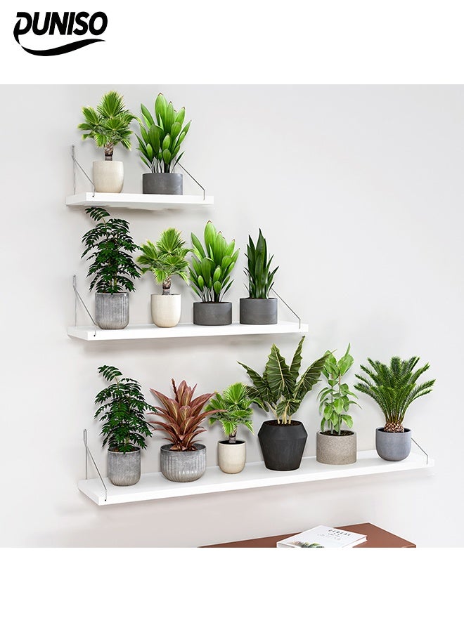 DUNISO 3 Pcs Wall Mounted Floating Shelves，Multifunctional Storage Shelves, Household Display Shelves，No Drilling Required，Strong Load-Bearing Capacity，Suitable For Bedrooms, Living Rooms, Bathrooms, Kitchens, Offices  - Image 1