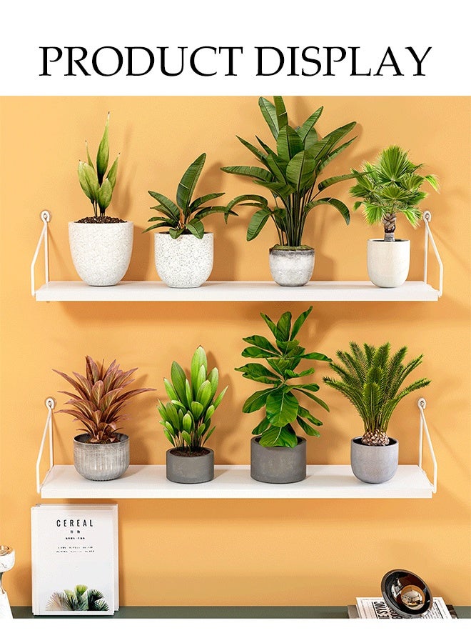 DUNISO 3 Pcs Wall Mounted Floating Shelves，Multifunctional Storage Shelves, Household Display Shelves，No Drilling Required，Strong Load-Bearing Capacity，Suitable For Bedrooms, Living Rooms, Bathrooms, Kitchens, Offices  - Image 5