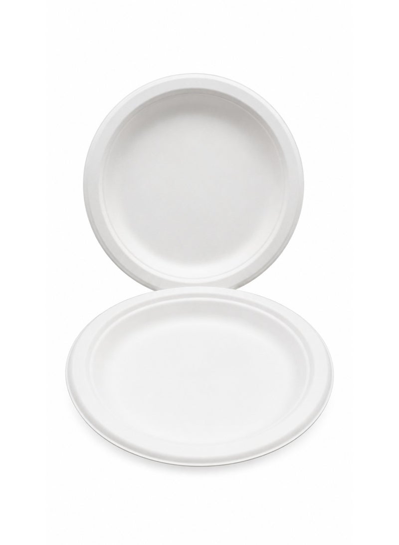 بلوبيرد Bluebird Biodegradable 7 inch Round Plate (1pkt x 25 Pcs) - Image 3