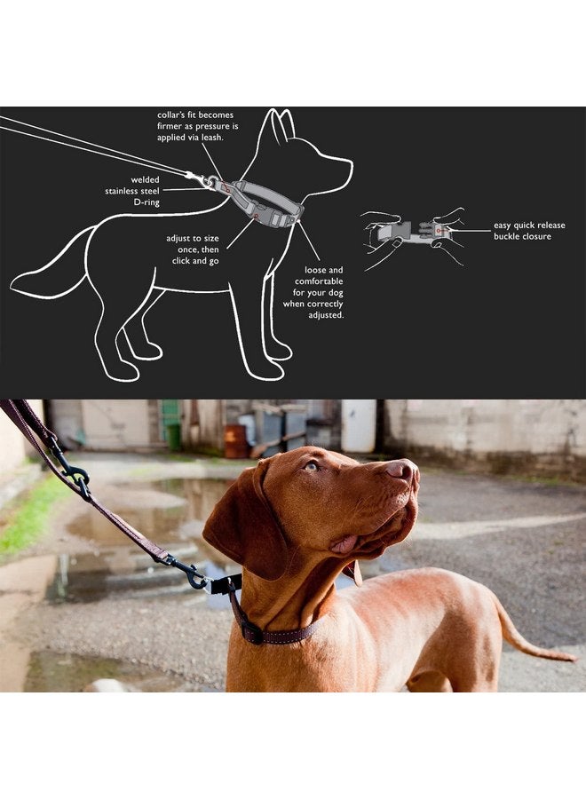 EzyDog Checkmate Martingale Collar for Dogs - Premium Nylon Training Dog Collar for Easy Control with no Choking (Large, Blue) - Image 2