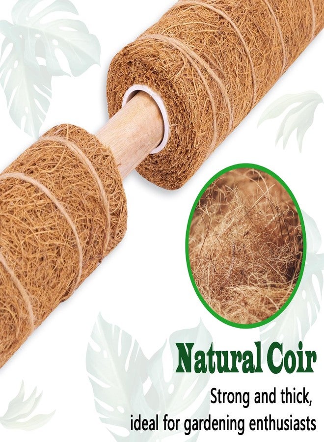 CHIAFFI 4 Pack 18 Inch Moss Pole, Stackable Moss Poles for Climbing Plants Monstera, Tall Plant Sticks Accessories, Large Coir Plant Support Stakes for Potted Plants Indoor, Pothos, Philodendron - Image 2